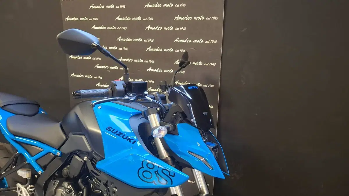Suzuki GSX-8S (2023 - 24) (5)