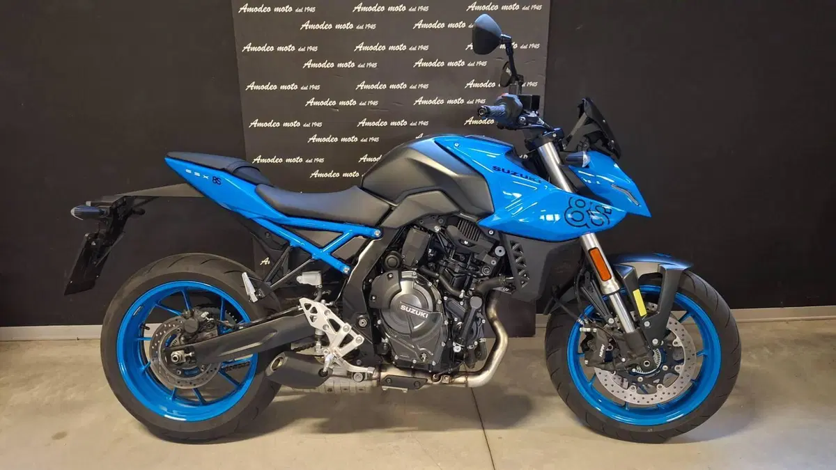 Suzuki GSX-8S (2023 - 24)