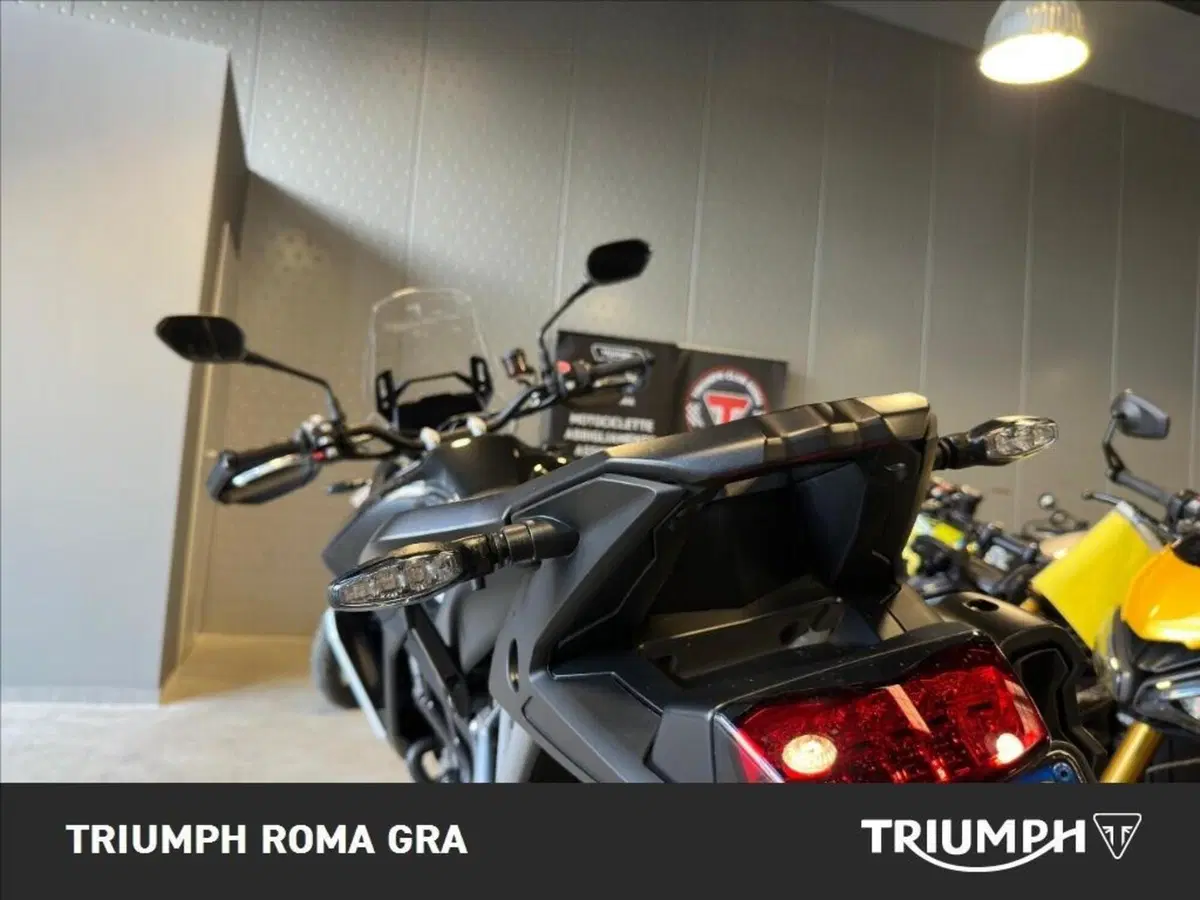 Triumph Tiger 900 Rally Pro (2024 - 26) (17)