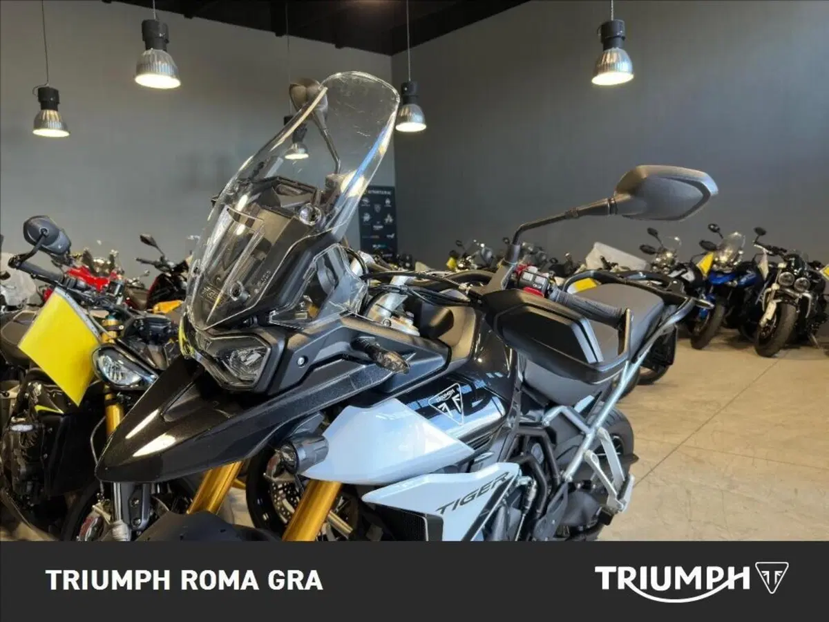 Triumph Tiger 900 Rally Pro (2024 - 26) (13)