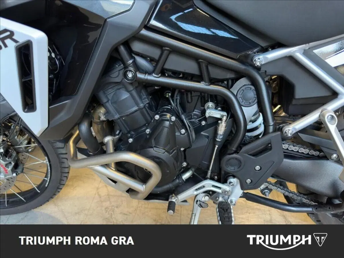 Triumph Tiger 900 Rally Pro (2024 - 26) (9)