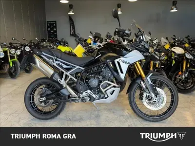 Triumph Tiger 900 Rally Pro (2024 - 26) usata