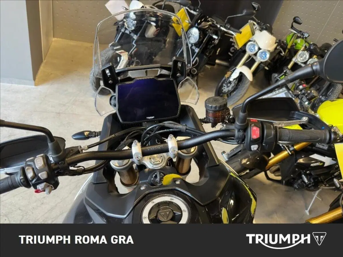 Triumph Tiger 900 Rally Pro (2024 - 26) (18)