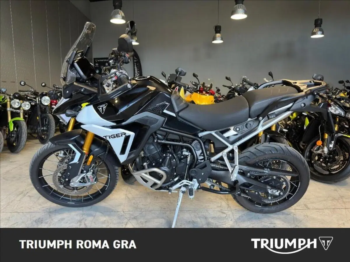 Triumph Tiger 900 Rally Pro (2024 - 26) (2)