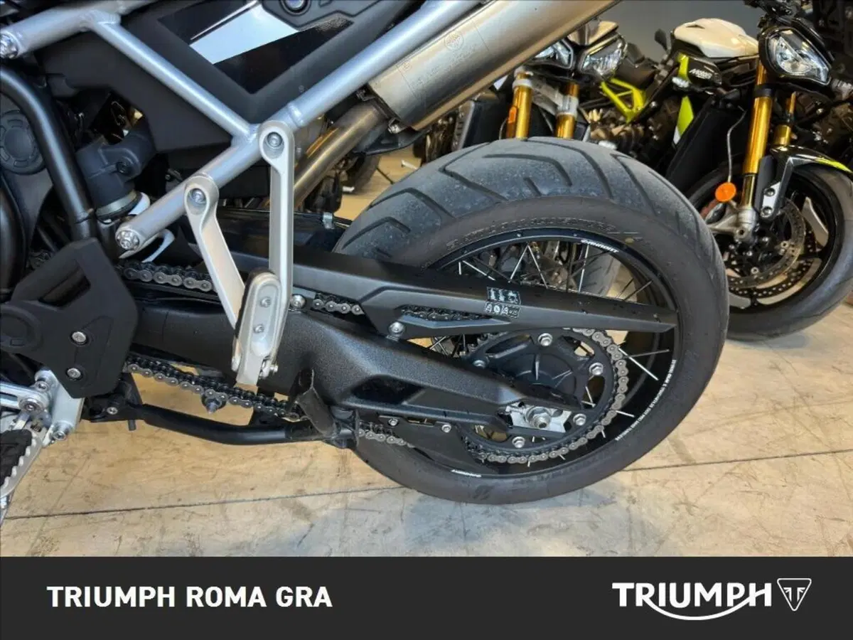 Triumph Tiger 900 Rally Pro (2024 - 26) (10)