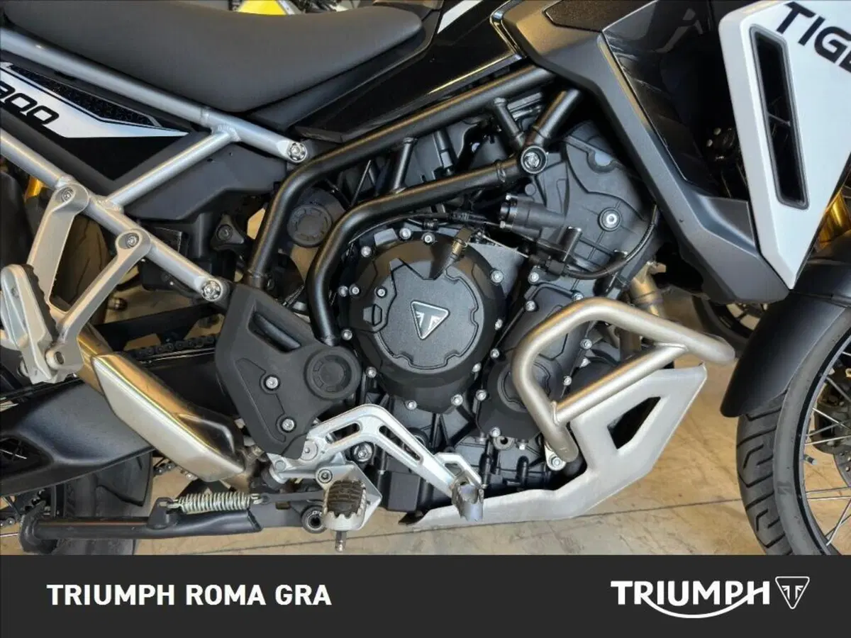 Triumph Tiger 900 Rally Pro (2024 - 26) (6)
