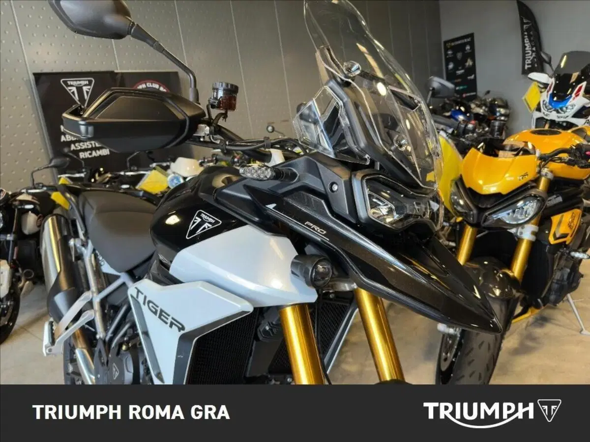 Triumph Tiger 900 Rally Pro (2024 - 26) (14)