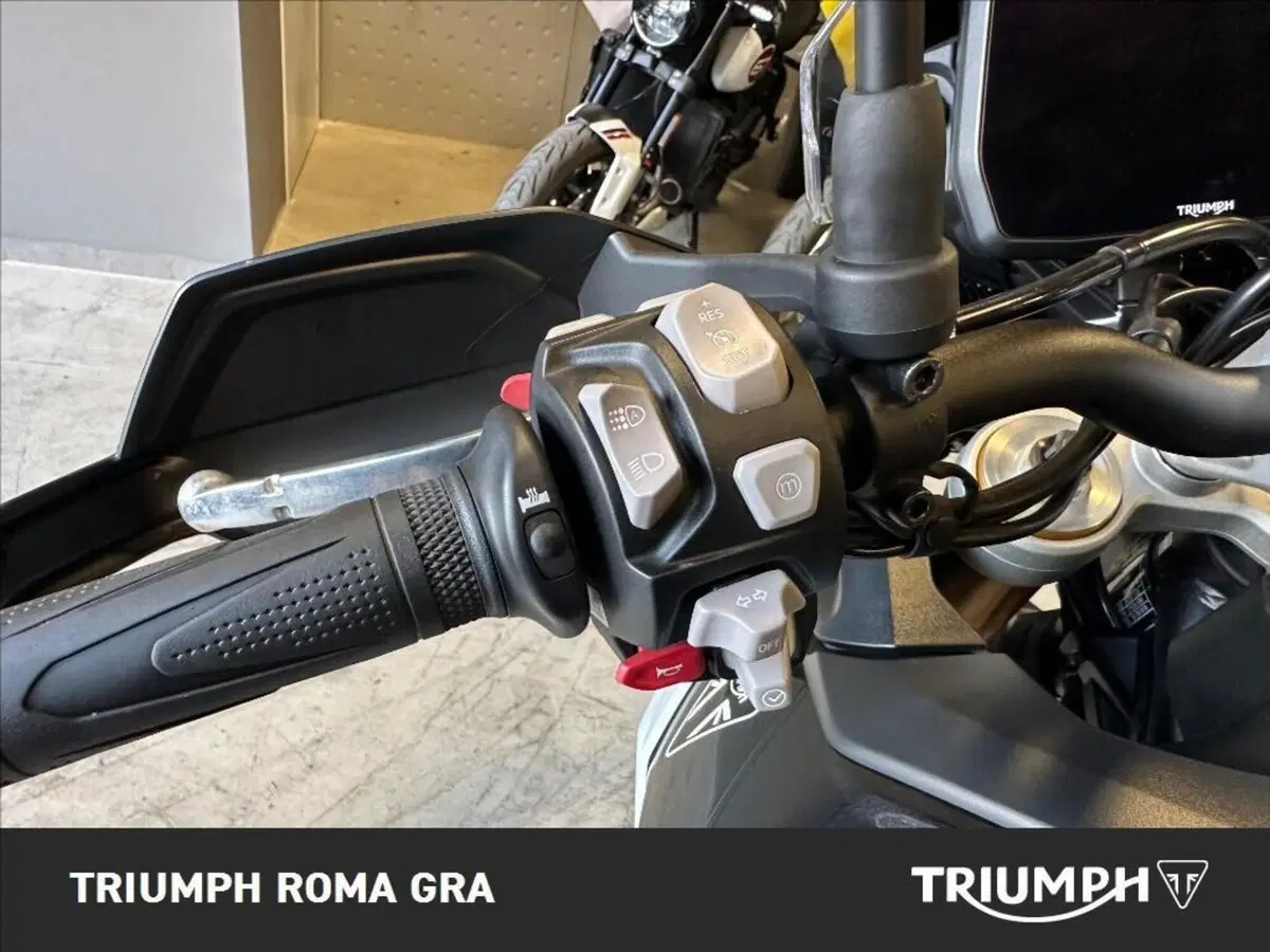 Triumph Tiger 900 Rally Pro (2024 - 26) (19)