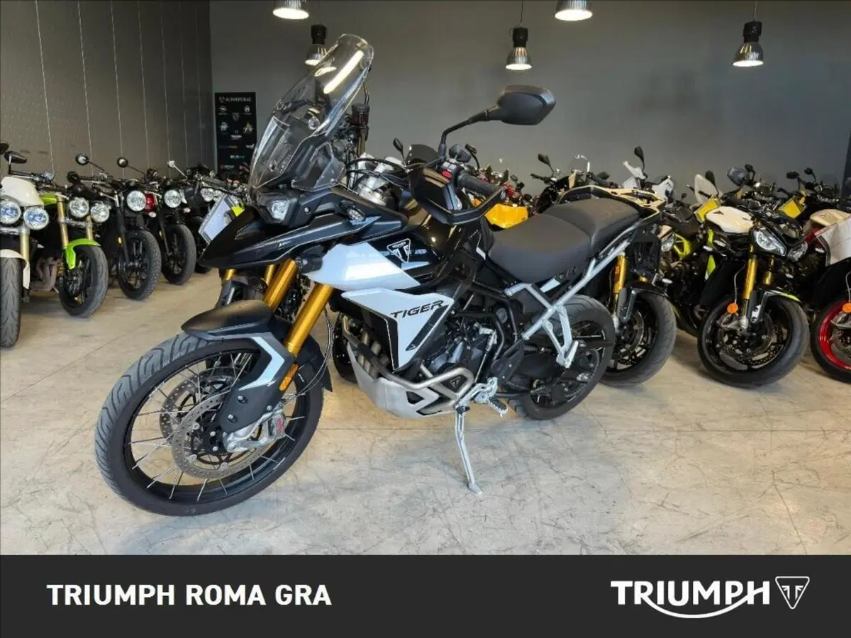 Triumph Tiger 900 Rally Pro (2024 - 26) (3)