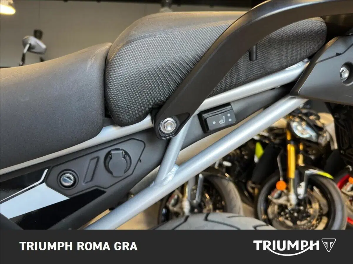 Triumph Tiger 900 Rally Pro (2024 - 26) (15)