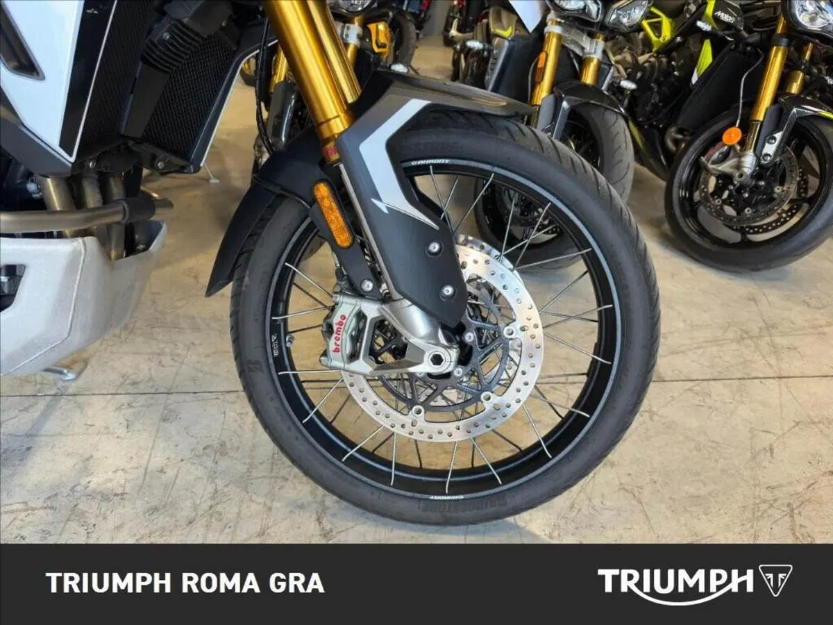Triumph Tiger 900 Rally Pro (2024 - 26) (7)