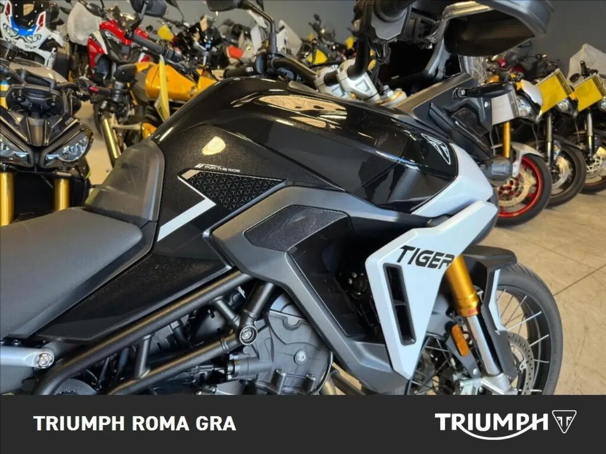 Triumph Tiger 900 Rally Pro (2024 - 26) (11)