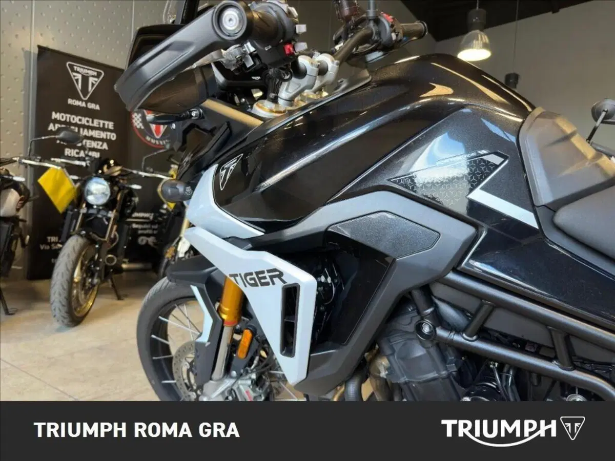 Triumph Tiger 900 Rally Pro (2024 - 26) (12)