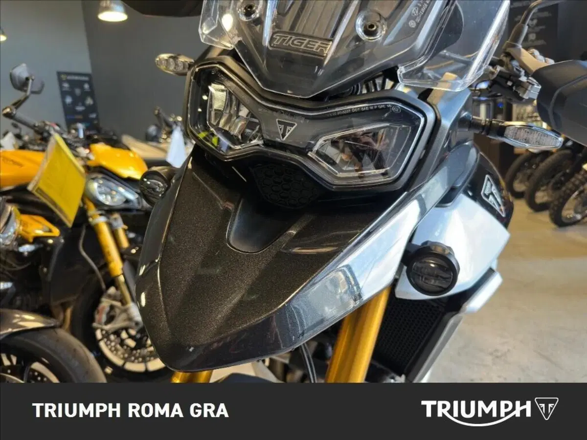 Triumph Tiger 900 Rally Pro (2024 - 26) (16)