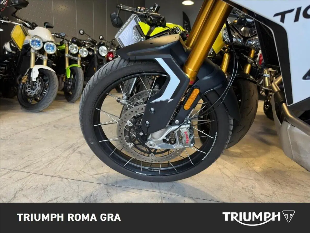 Triumph Tiger 900 Rally Pro (2024 - 26) (8)