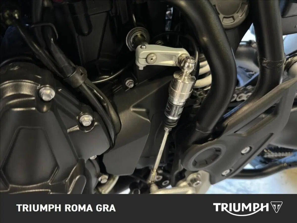 Triumph Tiger 900 Rally Pro (2024 - 26) (21)