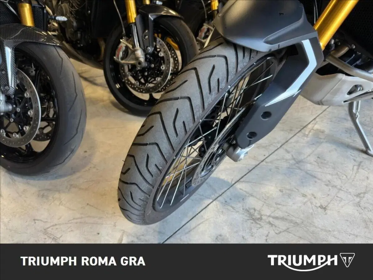 Triumph Tiger 900 Rally Pro (2024 - 26) (22)