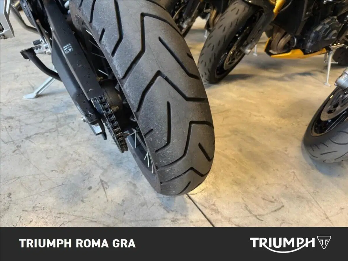 Triumph Tiger 900 Rally Pro (2024 - 26) (23)