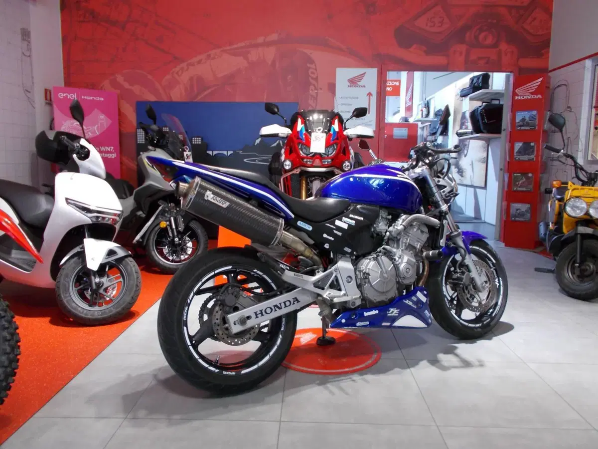 Honda Hornet 600 (2003 - 04) (10)