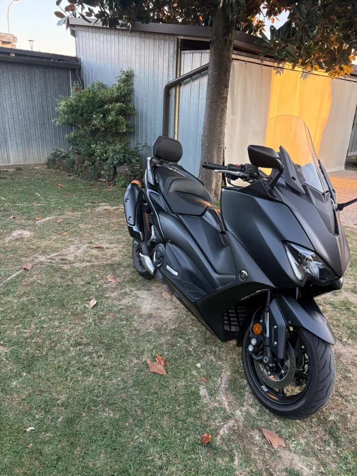Yamaha T-Max 560 (2020 - 21) (3)