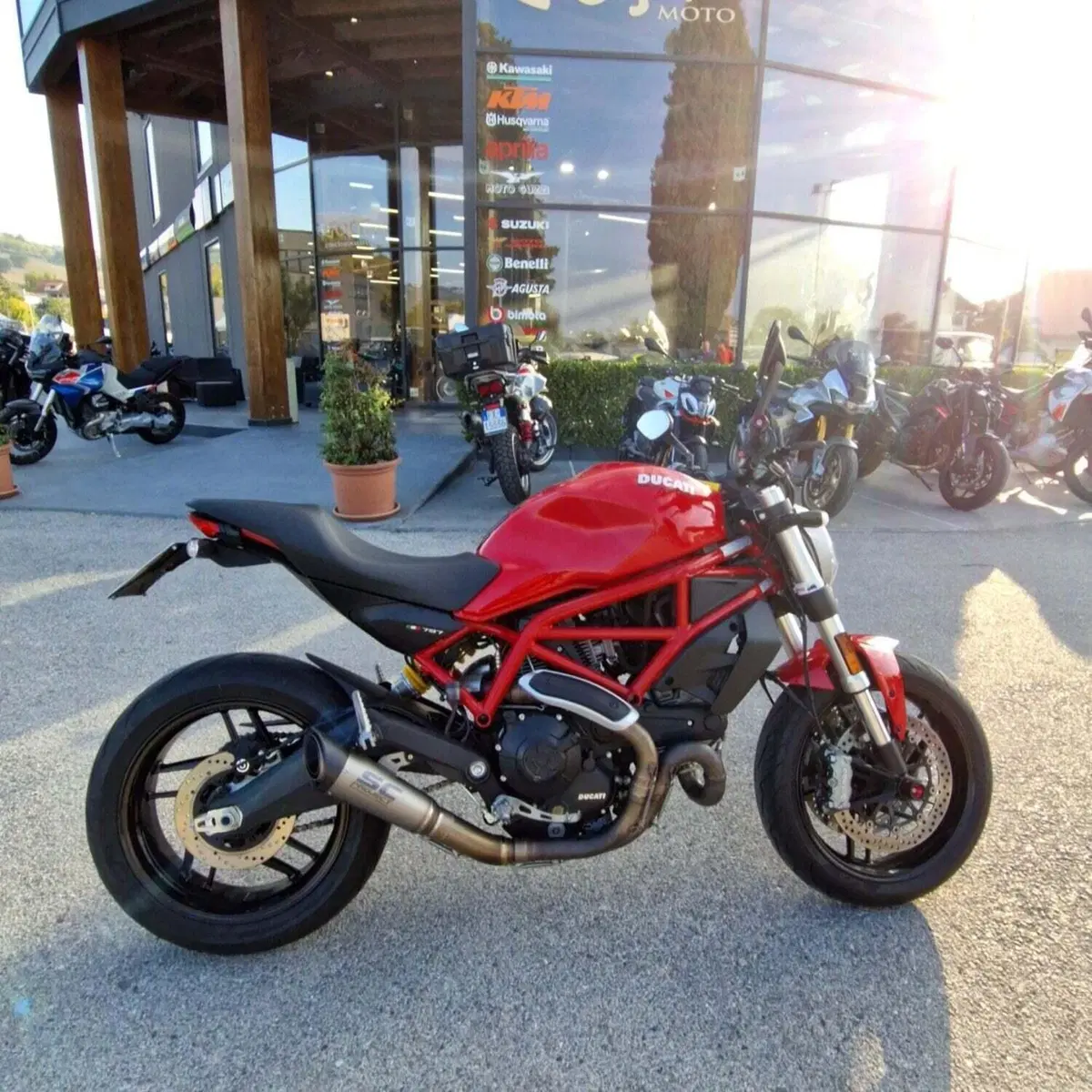 Ducati Monster 797 (2017 - 18) (2)