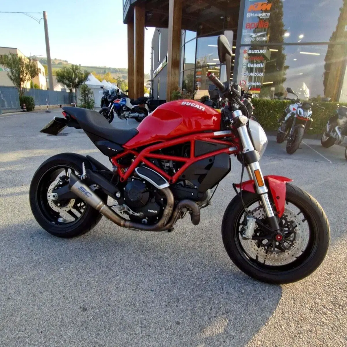 Ducati Monster 797 (2017 - 18) (8)