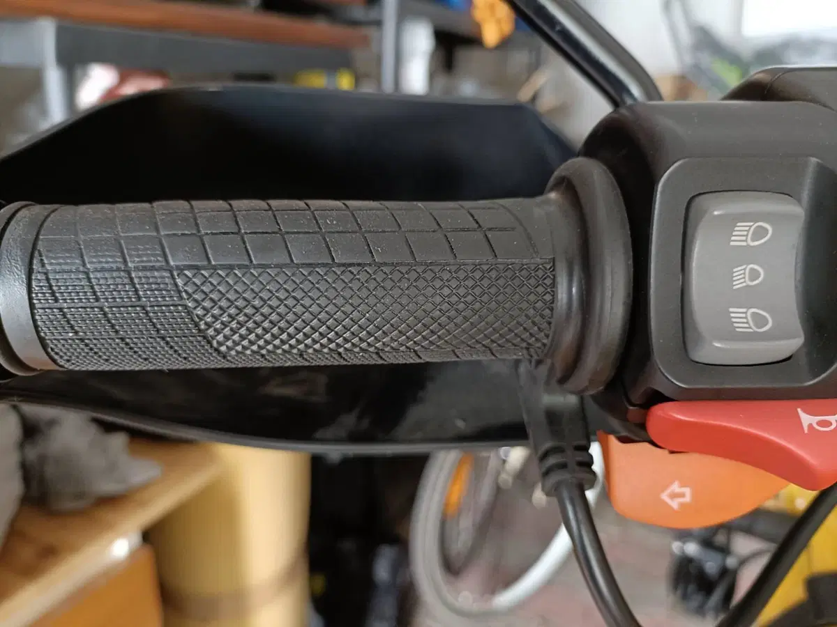 Bmw R 1150 GS (1999 - 03) (15)