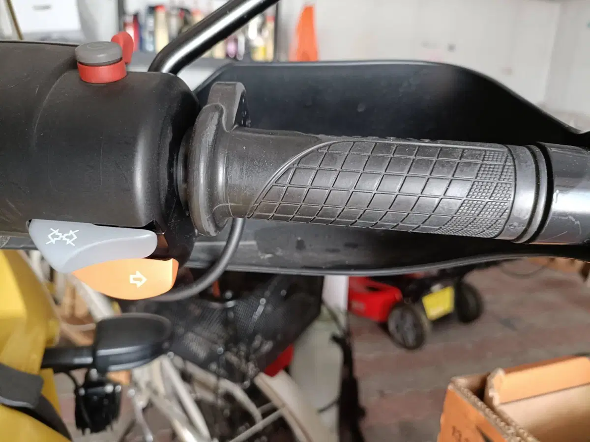 Bmw R 1150 GS (1999 - 03) (16)