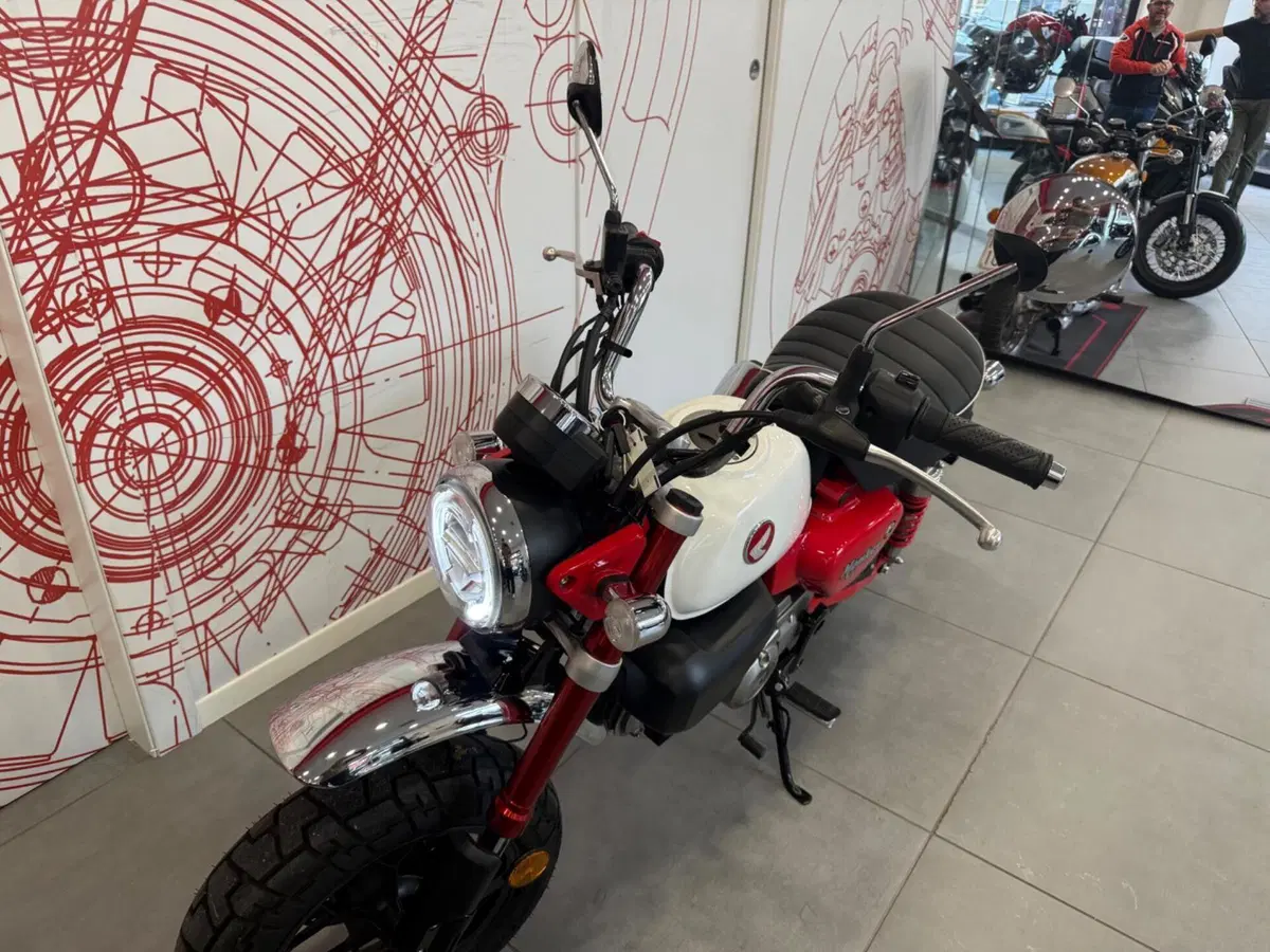 Honda Monkey 125 (2025 - 26) (14)