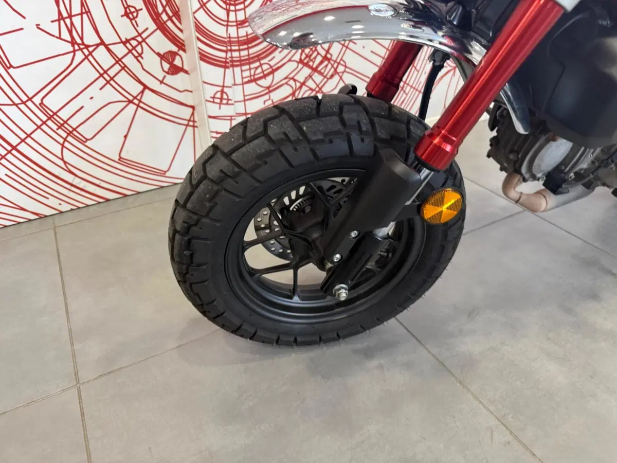 Honda Monkey 125 (2025 - 26) (13)