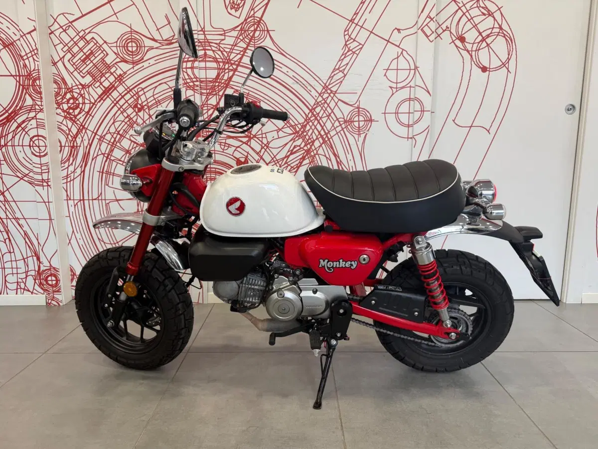 Honda Monkey 125 (2025 - 26) (4)