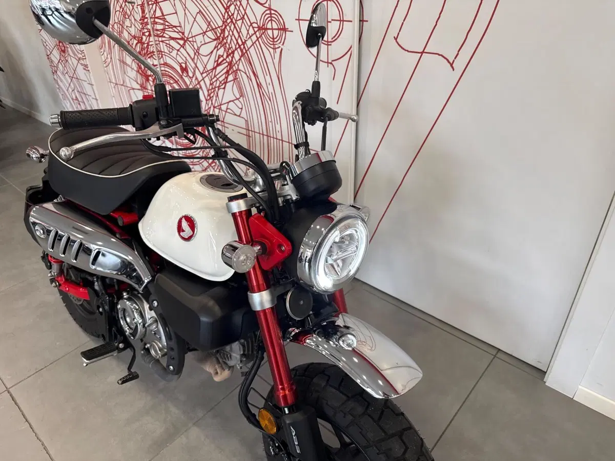 Honda Monkey 125 (2025 - 26) (10)