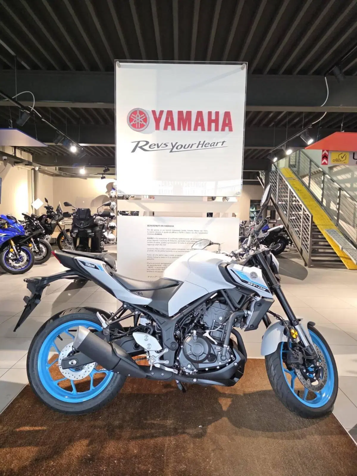 Yamaha MT-03 (2025 - 26)