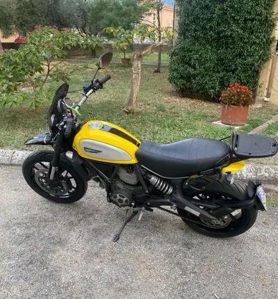 Ducati Scrambler 800 Icon (2015 - 16) usata