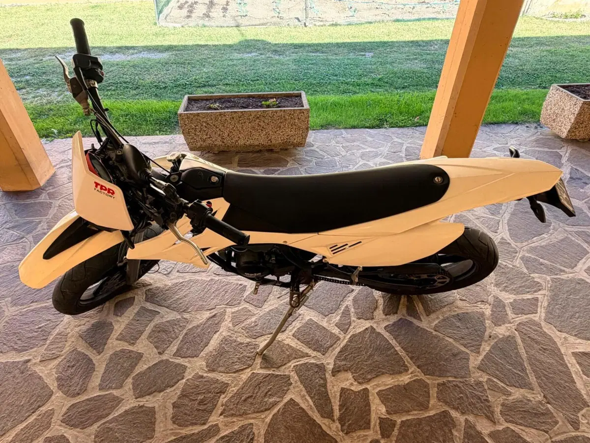Betamotor RR 50 Motard (2021 - 26) (2)