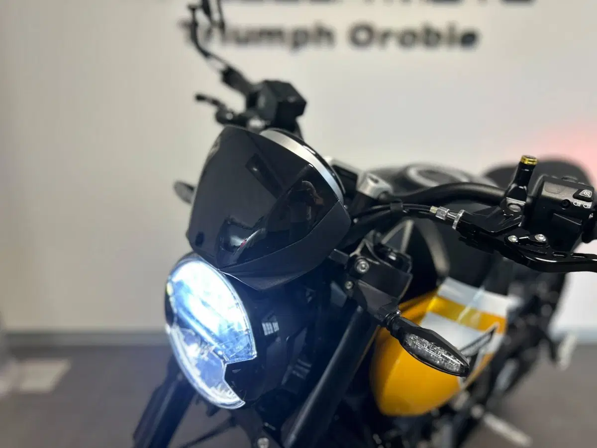 Triumph Trident 660 (2025) (6)