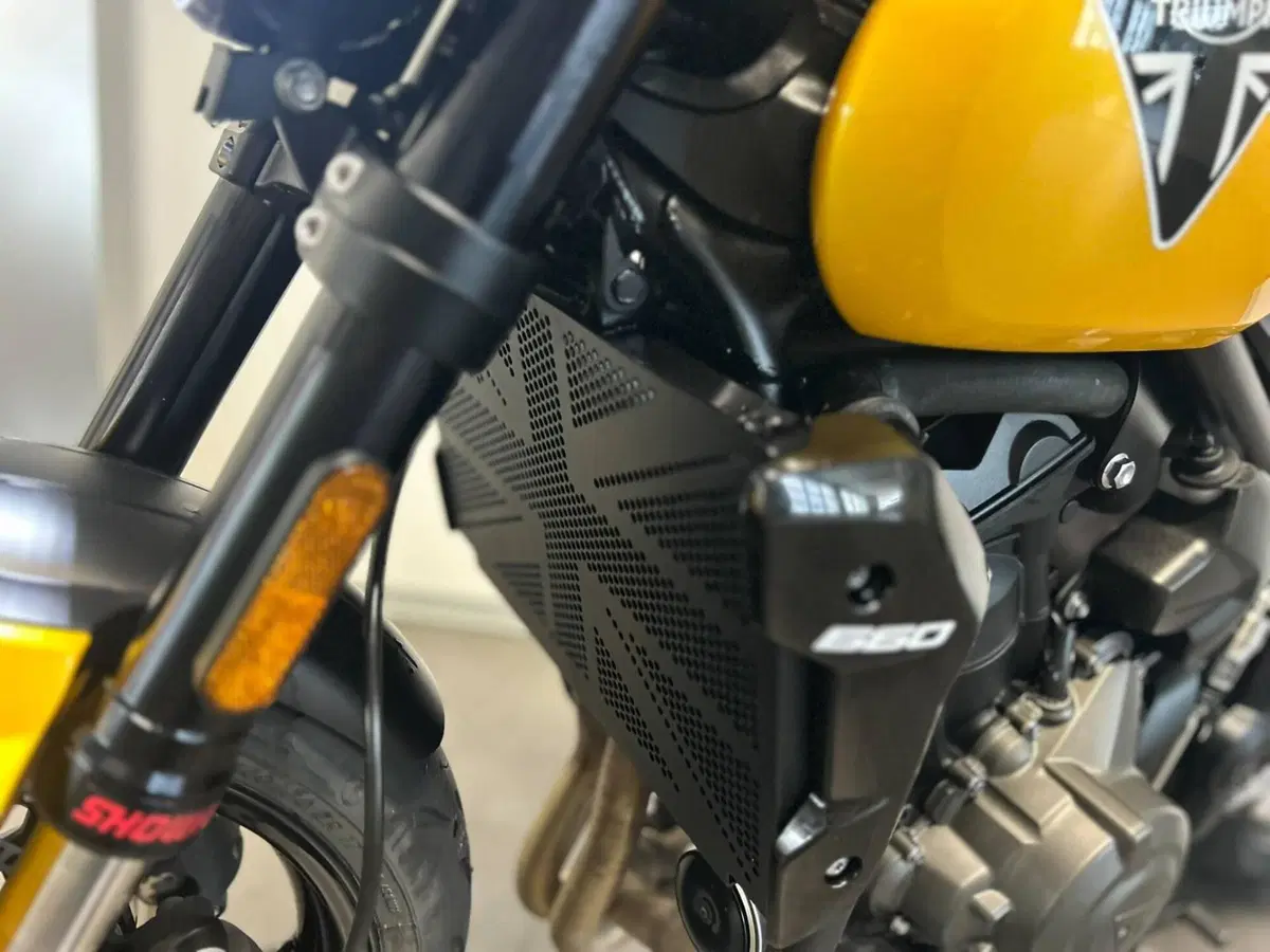 Triumph Trident 660 (2025) (8)