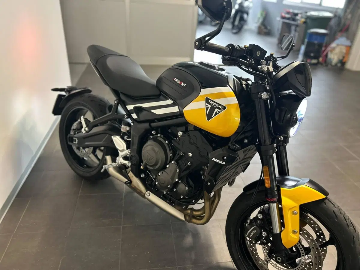 Triumph Trident 660 (2025) (9)
