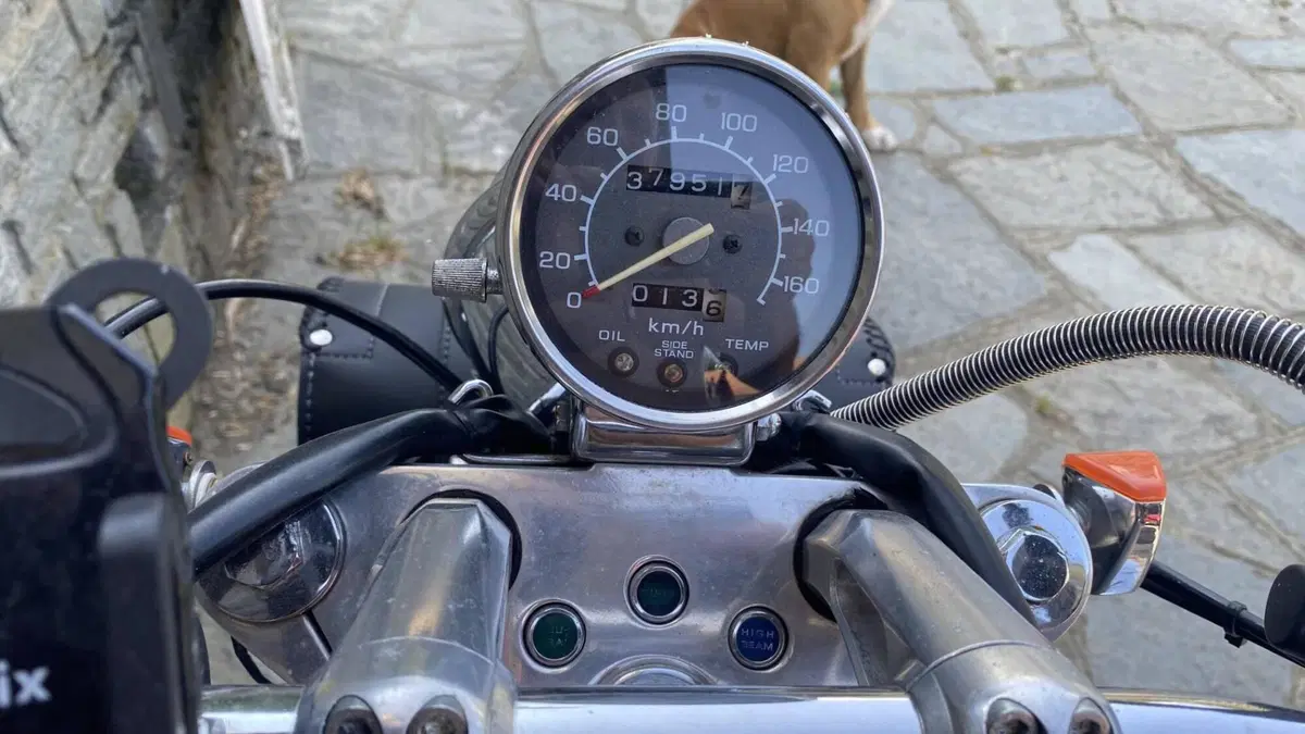 Honda VT 600 C Shadow (1989 - 98) (5)
