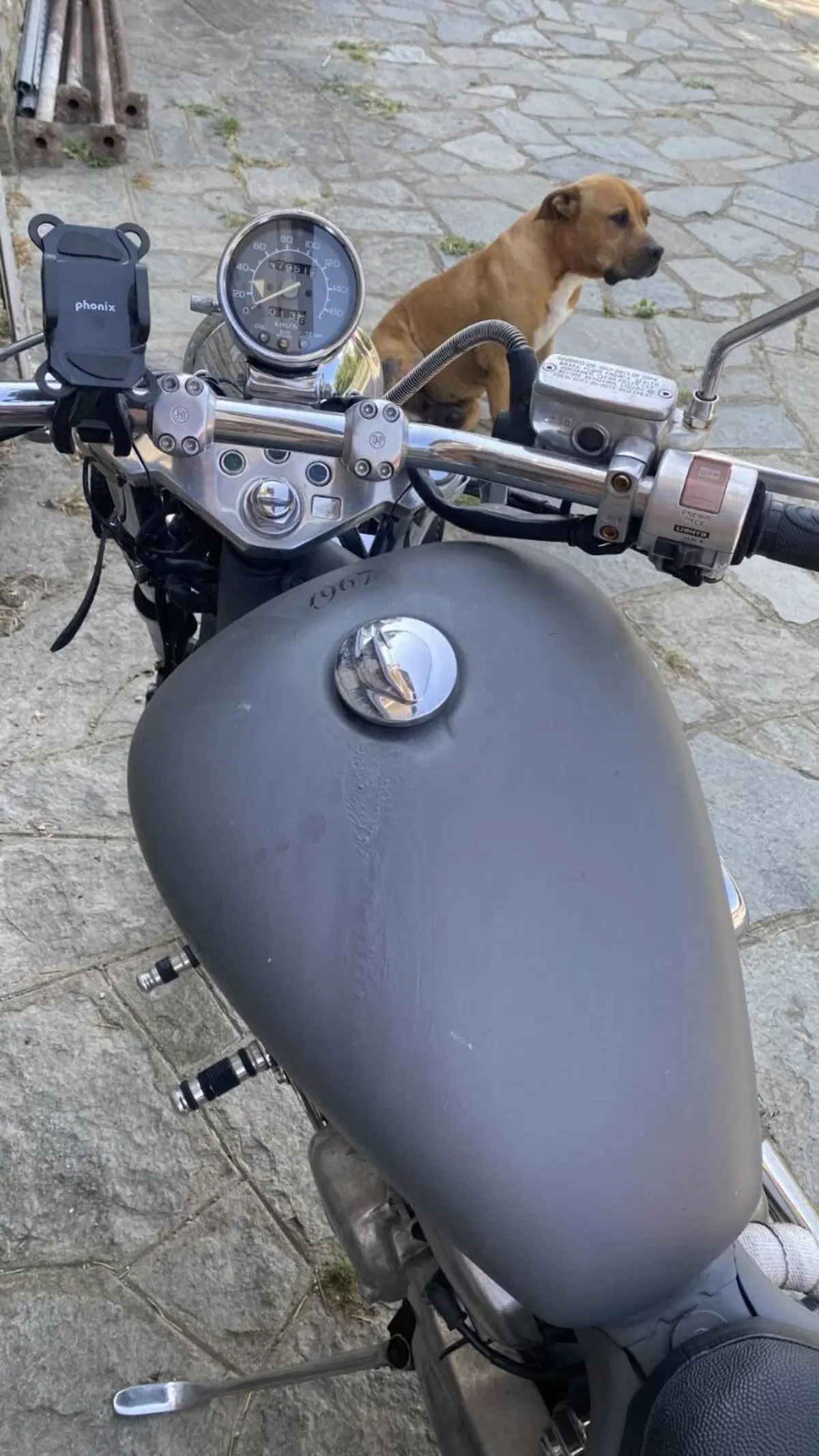 Honda VT 600 C Shadow (1989 - 98) (6)