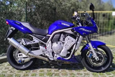 Yamaha FZS 1000 Fazer usata