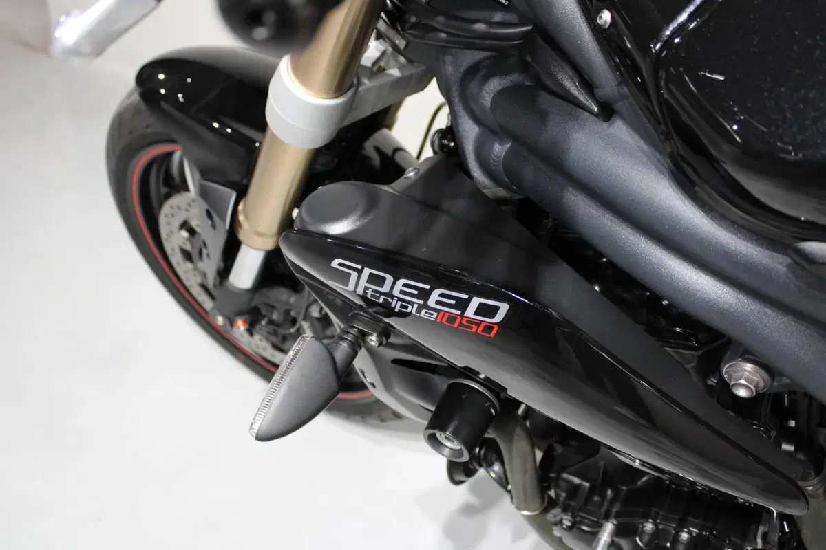 Triumph Speed Triple 1050 ABS (2011 - 15) (7)