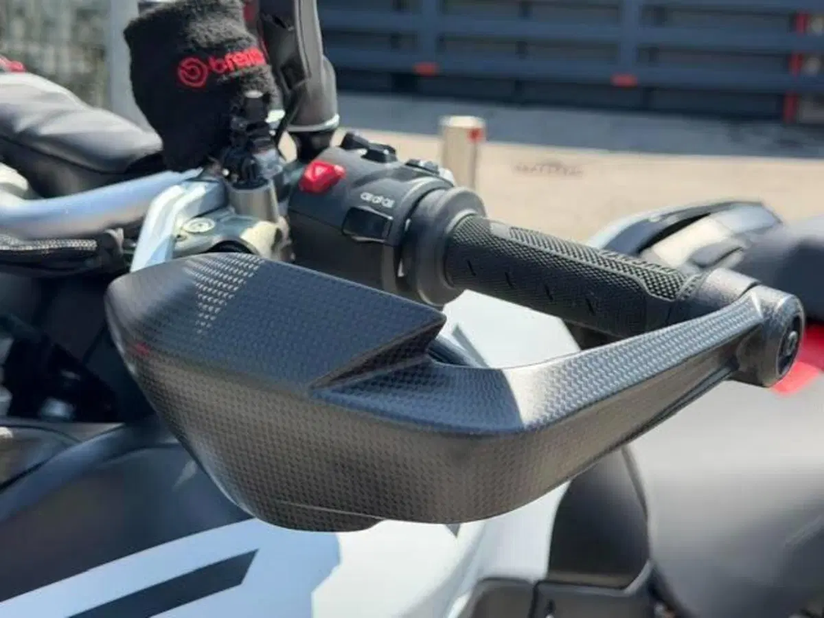 Ducati Multistrada V4 RS (2026) (14)