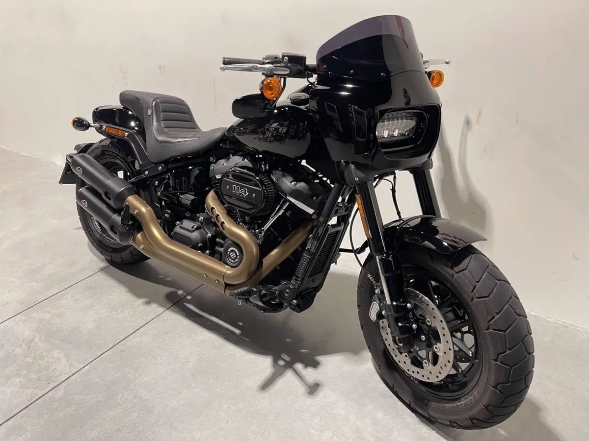 Harley-Davidson 114 Fat Bob (2018 - 20) - FXFBS (2)