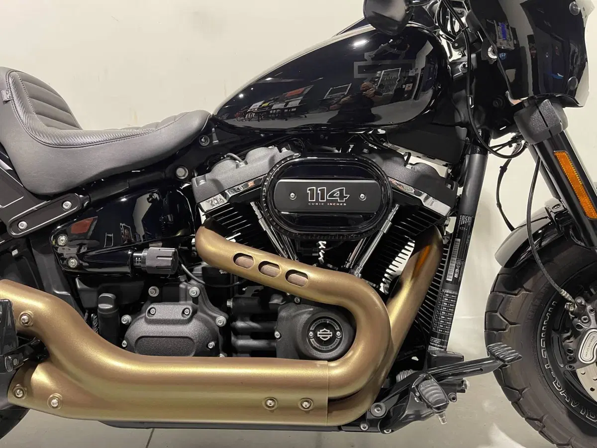 Harley-Davidson 114 Fat Bob (2018 - 20) - FXFBS (3)