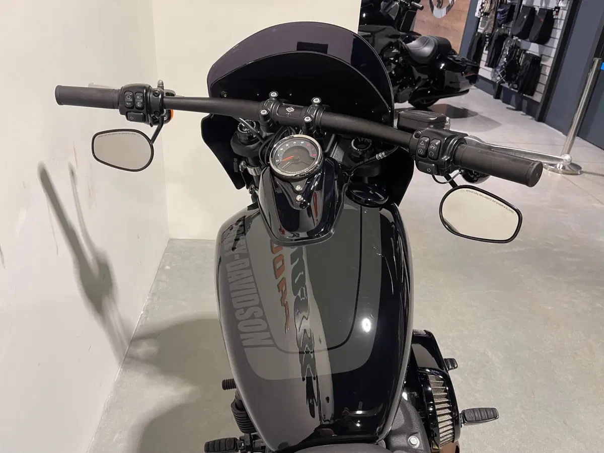 Harley-Davidson 114 Fat Bob (2018 - 20) - FXFBS (8)
