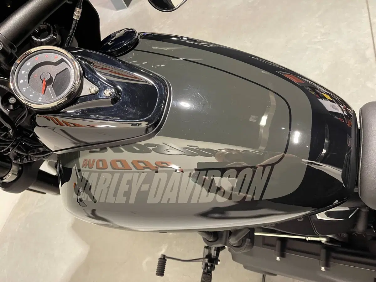 Harley-Davidson 114 Fat Bob (2018 - 20) - FXFBS (9)