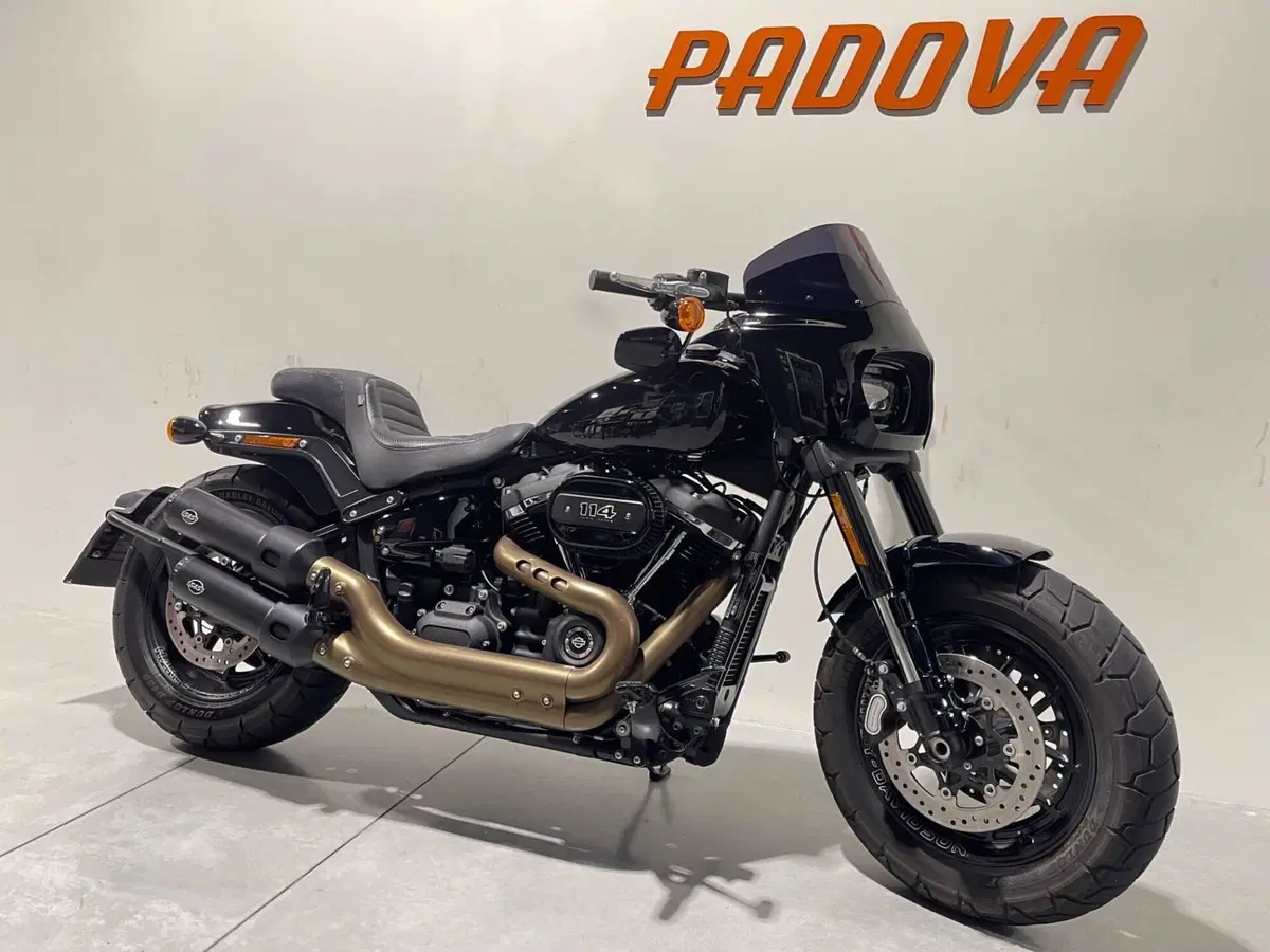 Harley-Davidson 114 Fat Bob (2018 - 20) - FXFBS (10)