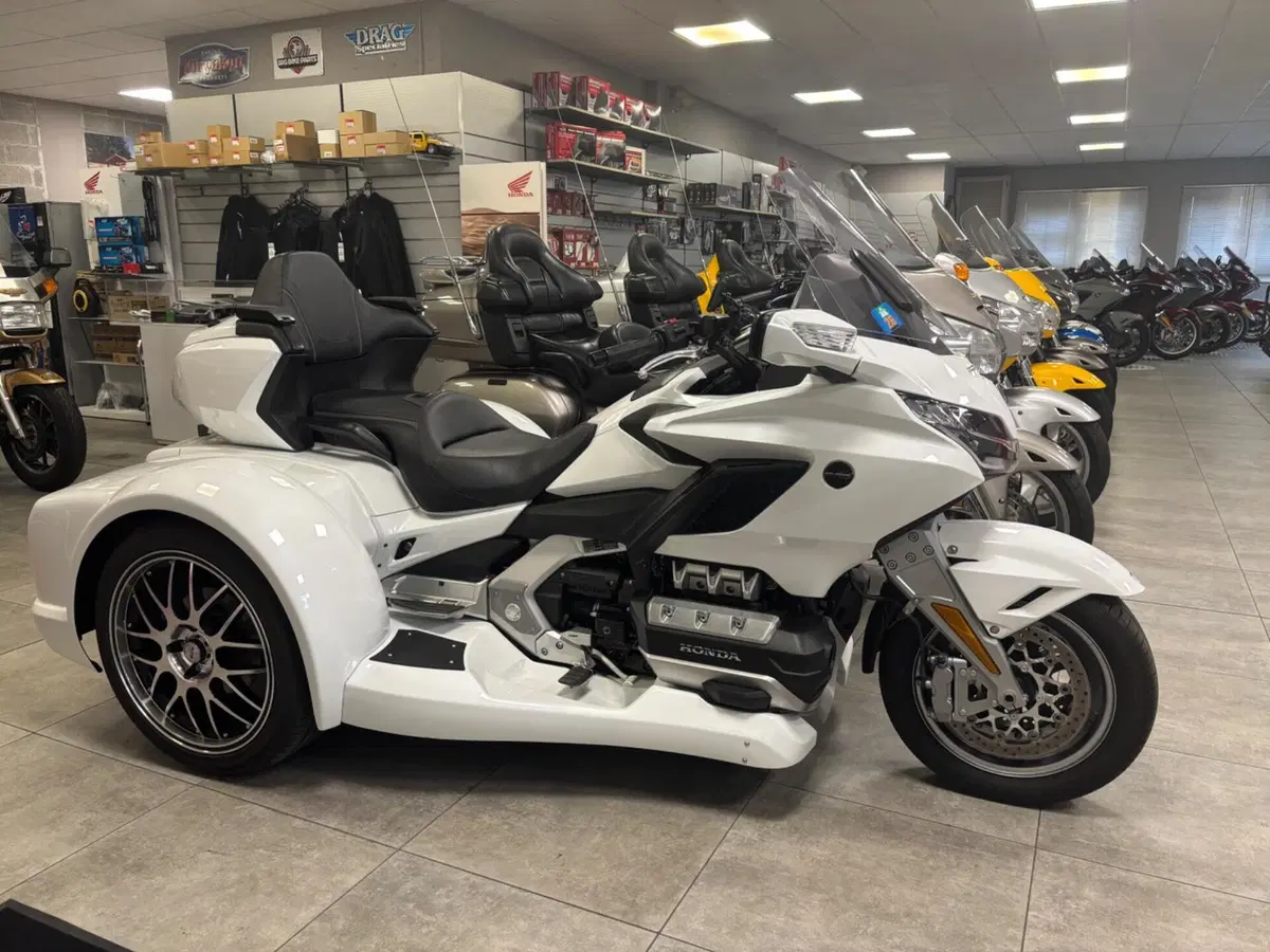 Honda GL 1800 Gold Wing Tour 50° Anniversario (2025 - 26) (6)