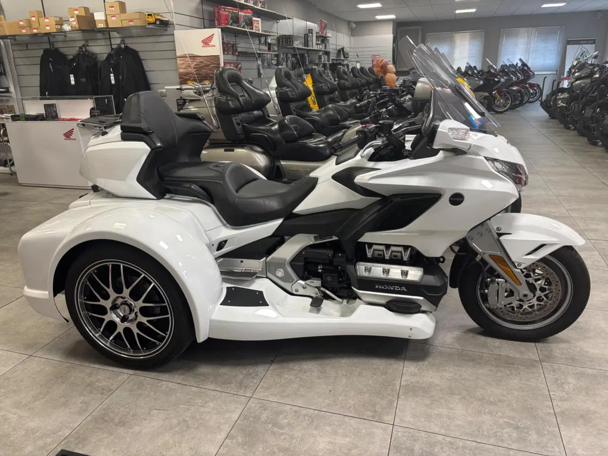 Honda GL 1800 Gold Wing Tour 50° Anniversario (2025 - 26) (12)